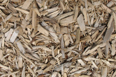 biomass boilers Tayvallich